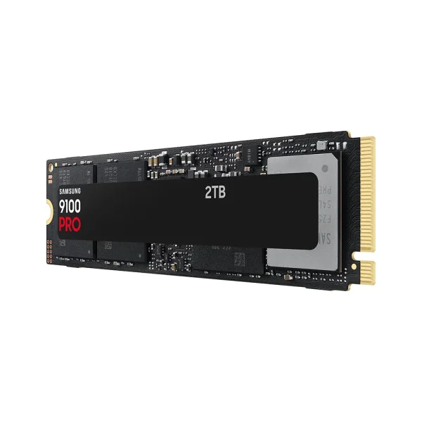 Samsung SSD 2TB NVME 9100 Pro