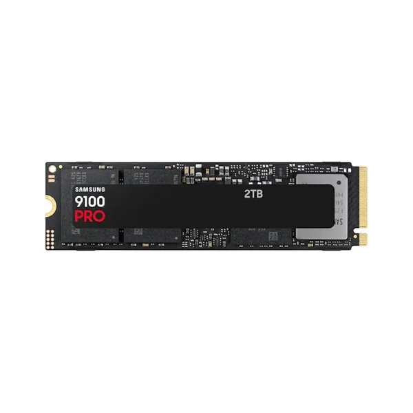Samsung SSD 2TB NVME 9100 Pro