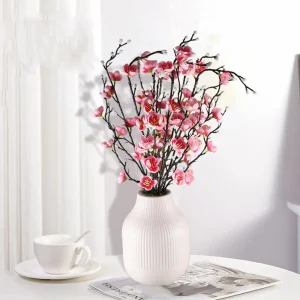 dekorativno-cvekje-julija