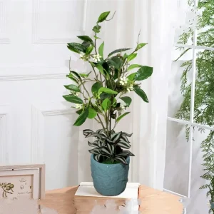 dekorativno-veshtachko-cvekje