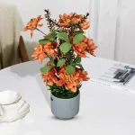 moderno-dekorativno-cvekje