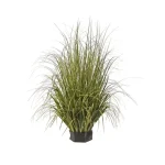 veshtachka-dekorativna-treva