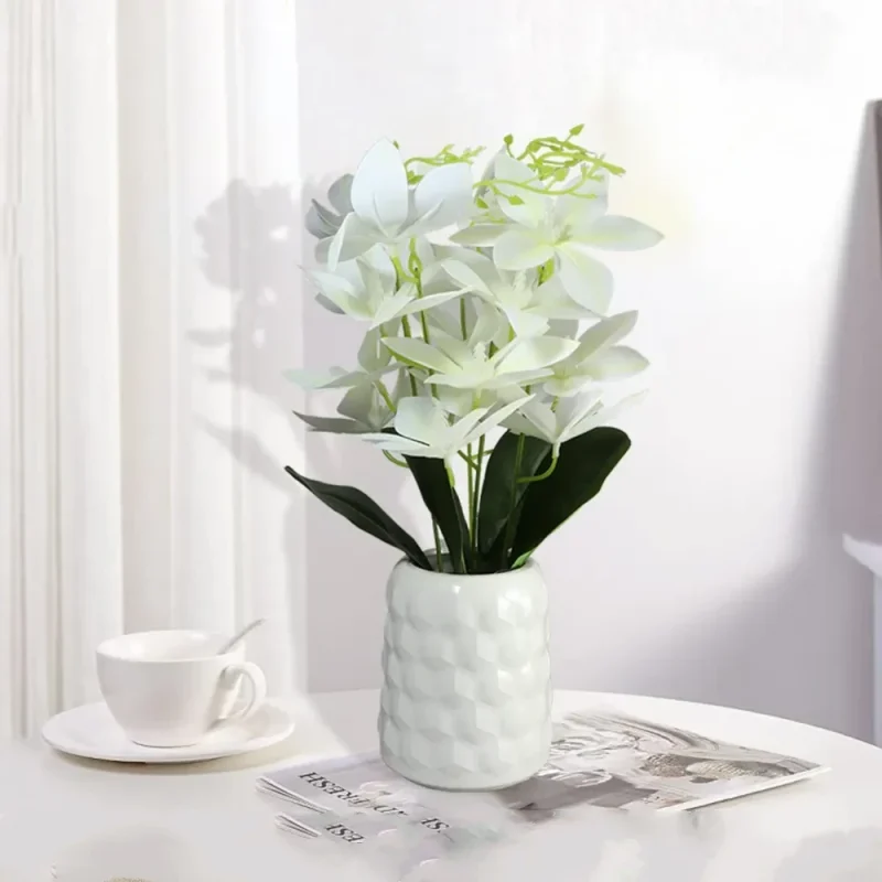 veshtachko-cvekje-bela-1.webp veshtachko-cvekje-bela