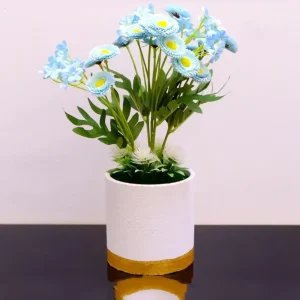 veshtachko-cvekje-hrizantema