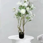 veshtachko-drvo-bonsai