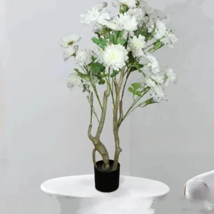 veshtachko-drvo-bonsai