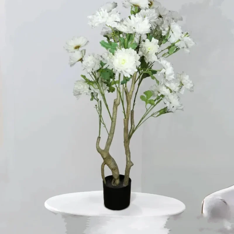 veshtachko-drvo-bonsai