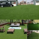 vestacka-treva-za-dvor