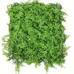 vestacka-treva-za-ograda