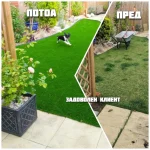 vestacka treva realna slika