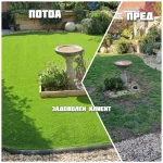 vestacka treva realna slika 2