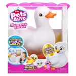 kadifena-patka-pets-alive-mama-duck